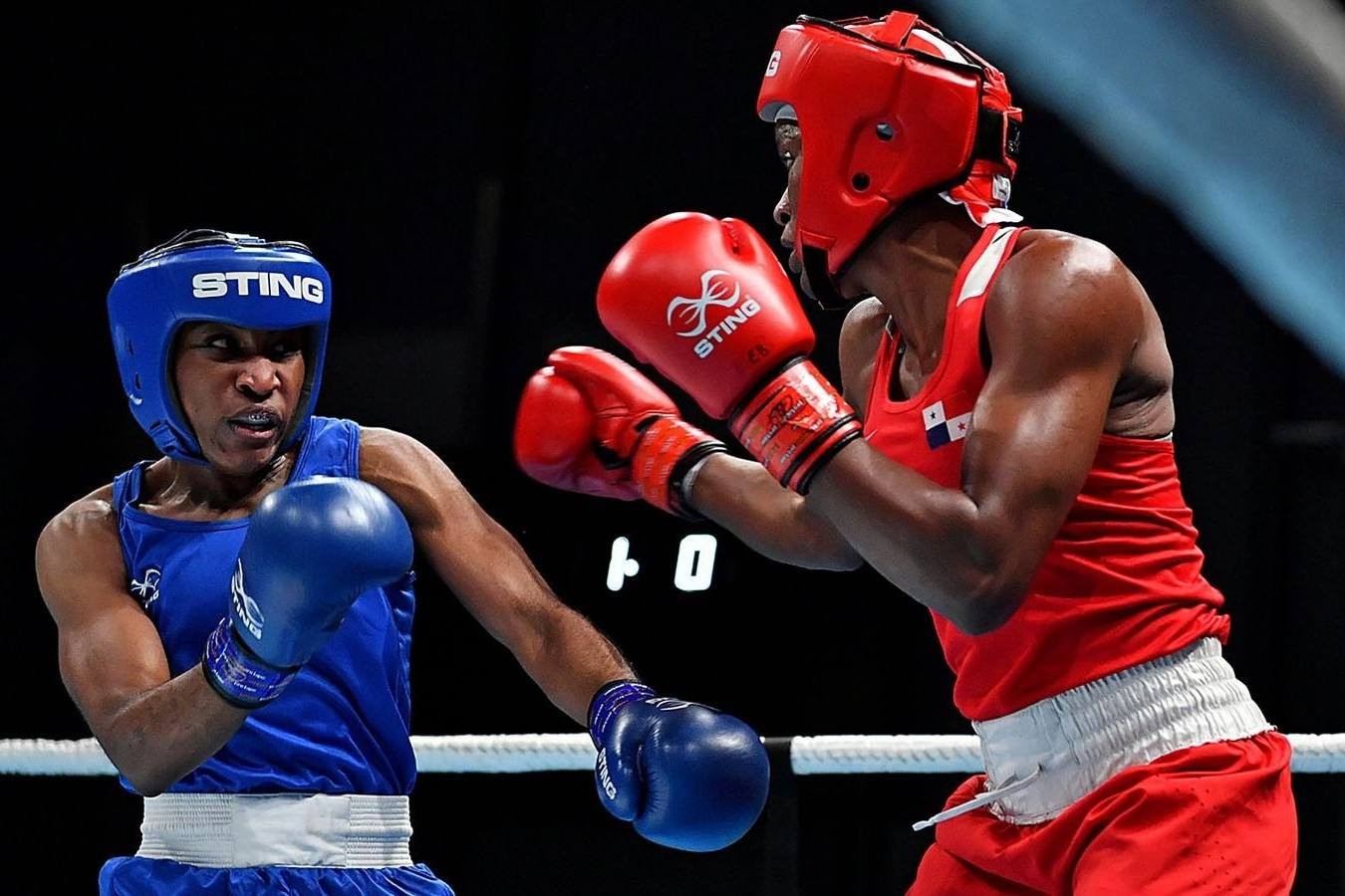 Unleashing the Ring: Fantasy Boxing Redefined